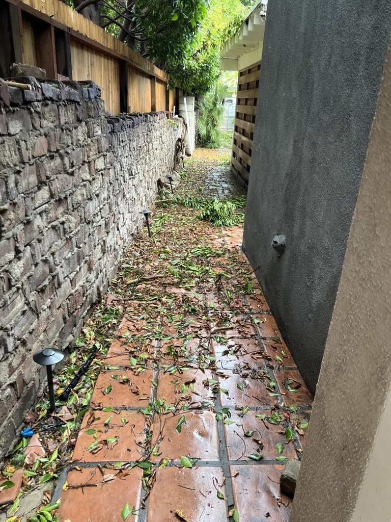 Wet branches and debris across the required passage.