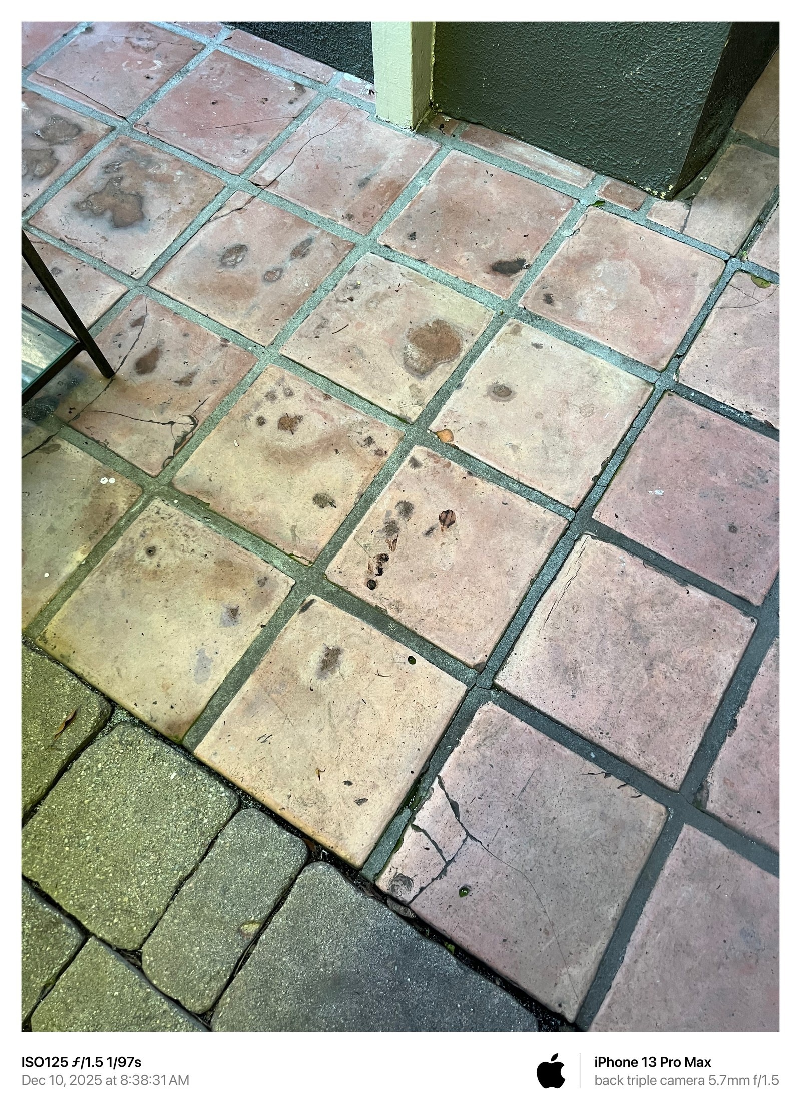 December 10, 2025 photograph showing animal waste on exterior tile.
